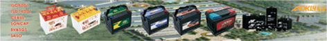 Guangdong Ze Liang Storage Battery Co., Ltd.