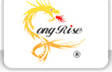 Longrise Technology International Co Ltd