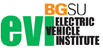 Electric Vehicle Institute