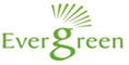 Evergreen Solar Systems India Private Limited