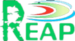 Renewable & Alternative Energy Association of Pakistan (REAP)