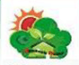 Shadesh Solar Power Ltd