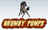 Brumby Pumps
