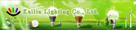 KAILIN lighting co., ltd. 