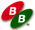 B & B Battery (USA) Inc.