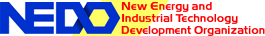 New Energy and Industrial Technology Development Organization (NEDO)